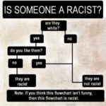 Is Someone Racist? Helpful flowchart!