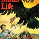 All 28 ‘killer creature’ covers of Man’s Life magazine