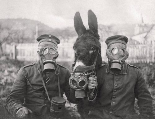 A+Donkey+and+two+German+soldiers+wearing+gas+masks+during+World+War+I,+1917