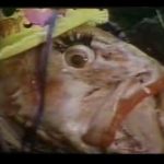 “Fish Heads” (1980) director Bill Paxton dies, aged 61